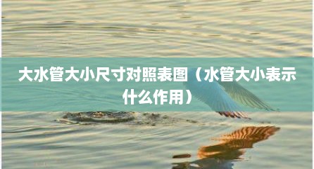 大水管大小尺寸对照表图（水管大小表示什么作用）
