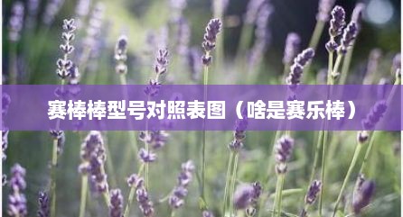 赛棒棒型号对照表图（啥是赛乐棒）