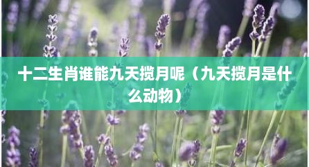 十二生肖谁能九天揽月呢（九天揽月是什么动物）