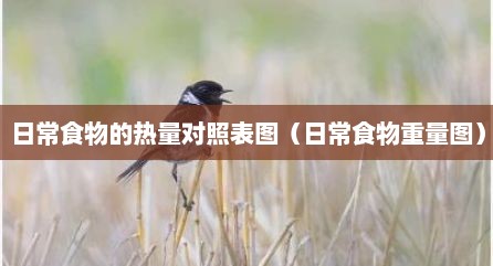 日常食物的热量对照表图（日常食物重量图）