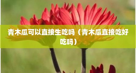 青木瓜可以直接生吃吗（青木瓜直接吃好吃吗）