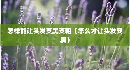 怎样能让头发变黑变粗（怎么才让头发变黑）