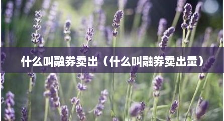 什么叫融券卖出（什么叫融券卖出量）
