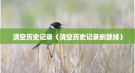 清空历史记录（清空历史记录删除掉）