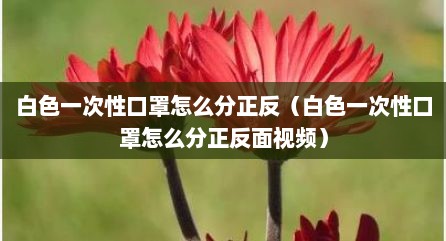 白色一次性口罩怎么分正反（白色一次性口罩怎么分正反面视频）
