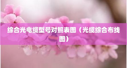 综合光电缆型号对照表图（光缆综合布线图）