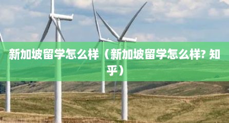 新加坡留学怎么样（新加坡留学怎么样? 知乎）