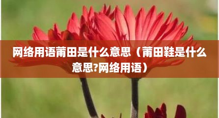 网络用语莆田是什么意思（莆田鞋是什么意思?网络用语）