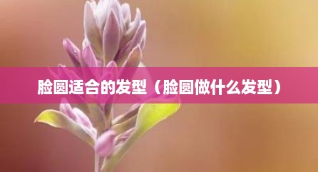 脸圆适合的发型（脸圆做什么发型）