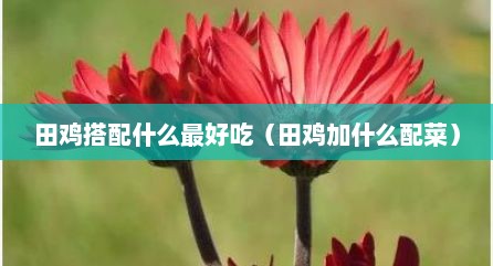 田鸡搭配什么最好吃（田鸡加什么配菜）