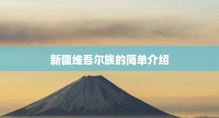 新疆维吾尔族的简单介绍