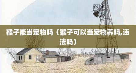 猴子能当宠物吗（猴子可以当宠物养吗,违法吗）