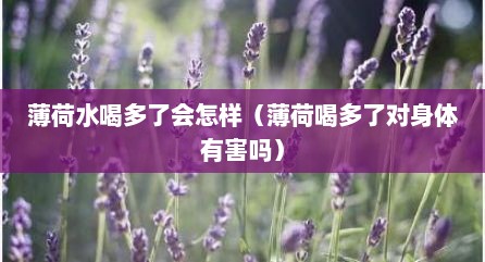 薄荷水喝多了会怎样（薄荷喝多了对身体有害吗）