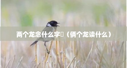 两个龙念什么字龘（俩个龙读什么）