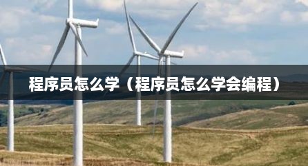 程序员怎么学（程序员怎么学会编程）