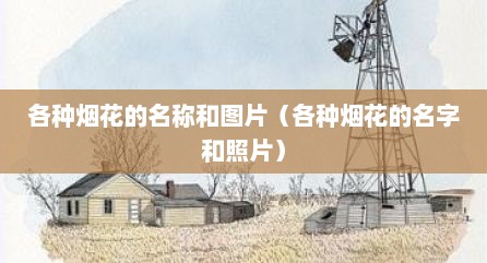 各种烟花的名称和图片（各种烟花的名字和照片）