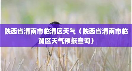 陕西省渭南市临渭区天气（陕西省渭南市临渭区天气预报查询）