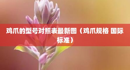 鸡爪的型号对照表最新图（鸡爪规格 国际标准）