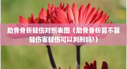 肋骨骨折轻伤对照表图（肋骨骨折算不算轻伤害轻伤可以判刑吗?）