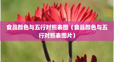 食品颜色与五行对照表图（食品颜色与五行对照表图片）