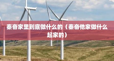 秦奋家里到底做什么的（秦奋他家做什么起家的）
