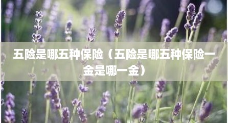 五险是哪五种保险（五险是哪五种保险一金是哪一金）