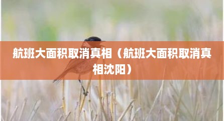 航班大面积取消真相（航班大面积取消真相沈阳）