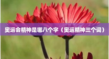 奥运会精神是哪八个字（奥运精神三个词）