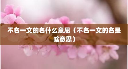 不名一文的名什么意思（不名一文的名是啥意思）