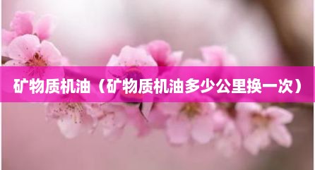 矿物质机油（矿物质机油多少公里换一次）
