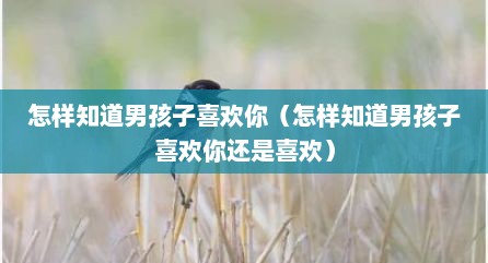 怎样知道男孩子喜欢你（怎样知道男孩子喜欢你还是喜欢）