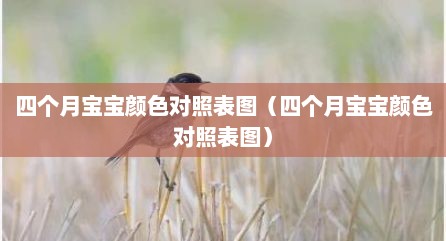 四个月宝宝颜色对照表图（四个月宝宝颜色对照表图）