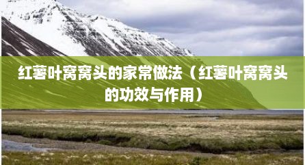 红薯叶窝窝头的家常做法（红薯叶窝窝头的功效与作用）