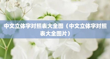 中文立体字对照表大全图（中文立体字对照表大全图片）