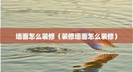 墙面怎么装修（装修墙面怎么装修）