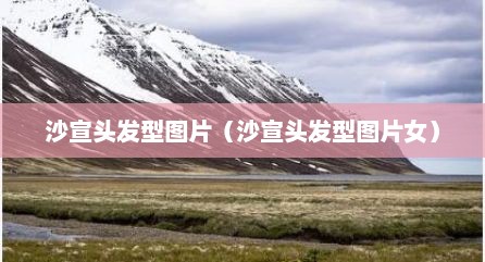 沙宣头发型图片（沙宣头发型图片女）