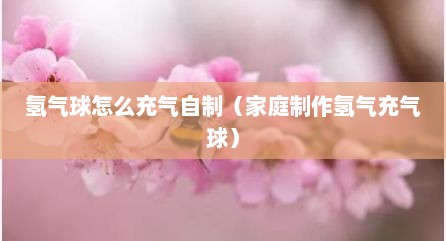 氢气球怎么充气自制（家庭制作氢气充气球）