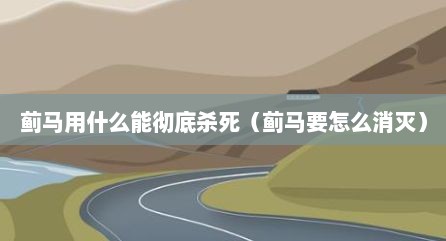 蓟马用什么能彻底杀死（蓟马要怎么消灭）