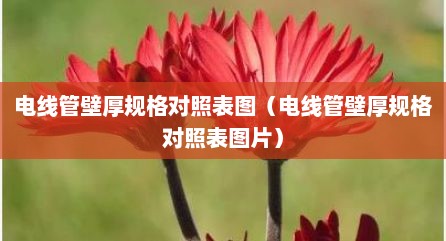 电线管壁厚规格对照表图（电线管壁厚规格对照表图片）