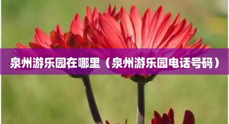 泉州游乐园在哪里（泉州游乐园电话号码）