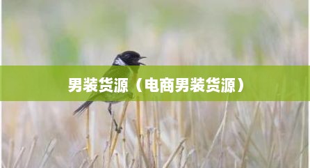 男装货源（电商男装货源）
