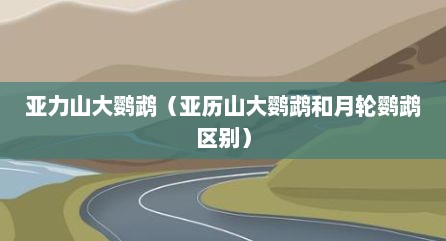 亚力山大鹦鹉（亚历山大鹦鹉和月轮鹦鹉区别）