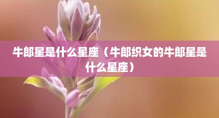 牛郎星是什么星座（牛郎织女的牛郎星是什么星座）