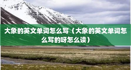 大象的英文单词怎么写（大象的英文单词怎么写的呀怎么读）