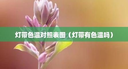 灯带色温对照表图（灯带有色温吗）