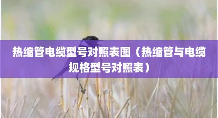 热缩管电缆型号对照表图（热缩管与电缆规格型号对照表）