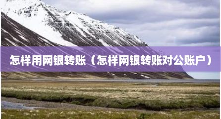 怎样用网银转账（怎样网银转账对公账户）