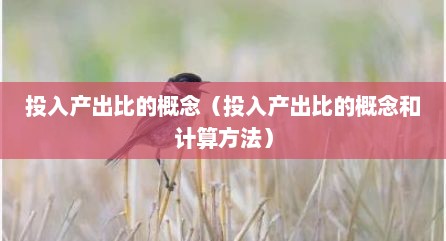投入产出比的概念（投入产出比的概念和计算方法）