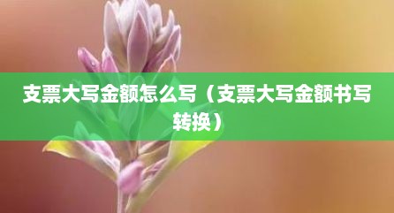 支票大写金额怎么写（支票大写金额书写转换）