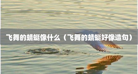 飞舞的蜻蜓像什么（飞舞的蜻蜓好像造句）